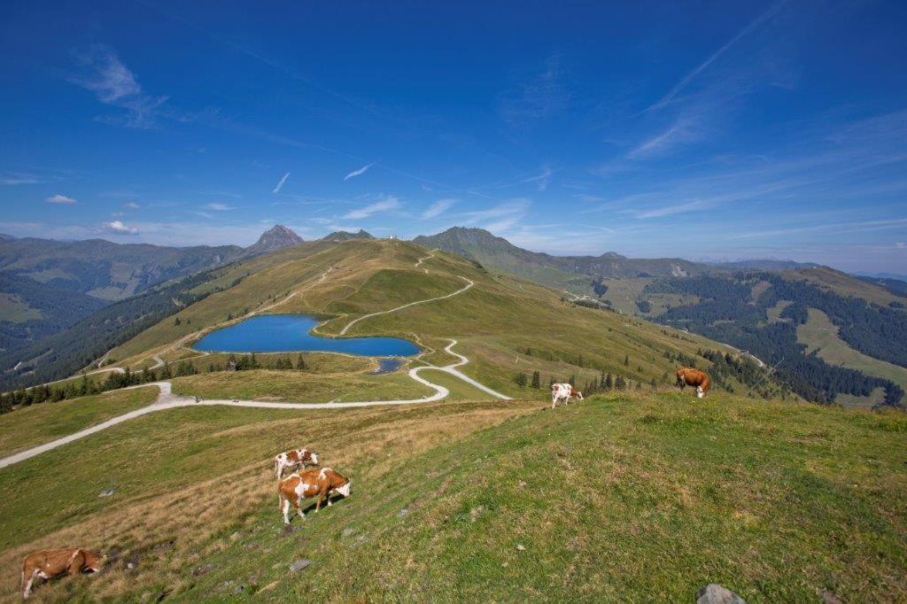 Отель Garni Roesslhof Холлерсбах  Экстерьер фото